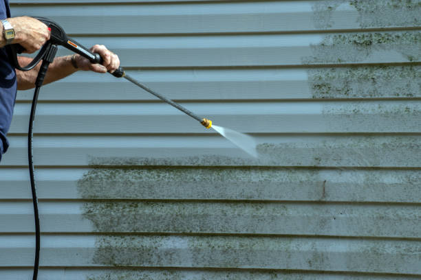 Best Affordable Power Washing  in Osceola, IA