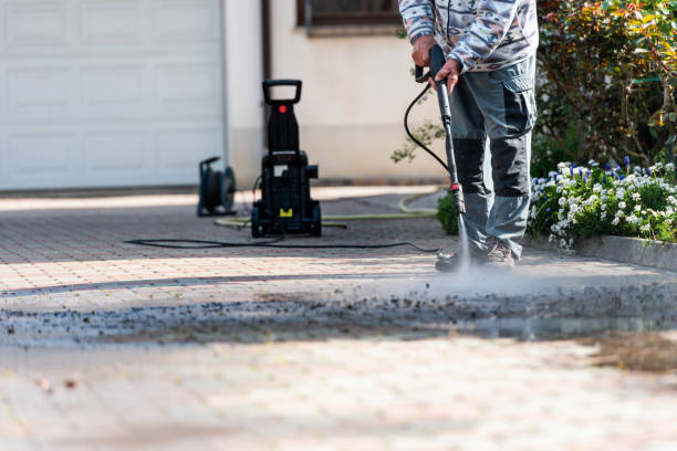 Best Roof Pressure Washing  in Osceola, IA