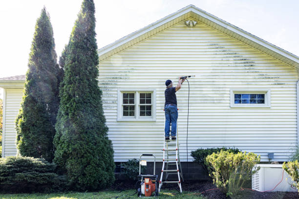 Best Pressure Washing Driveway  in Osceola, IA