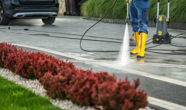 Best Roof Pressure Washing  in Osceola, IA